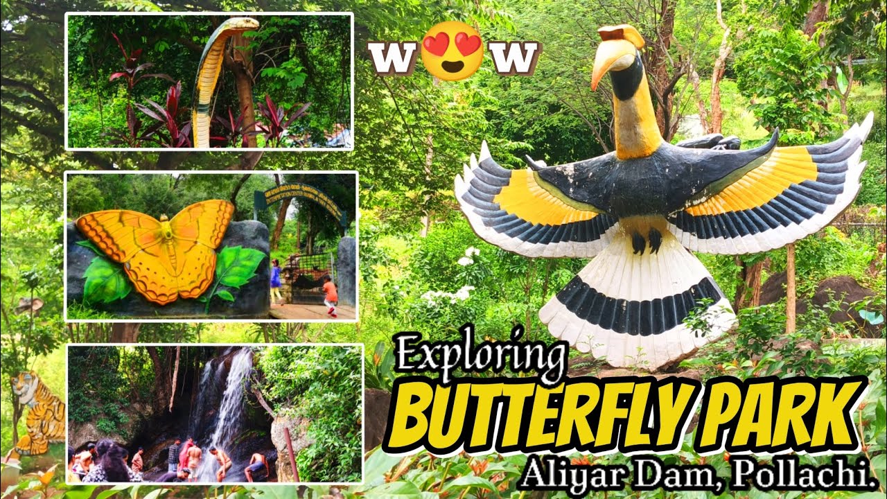 🦋 Butterfly Park, Aliyar Dam Pollachi 📍| Top Best Tourist Places in Coimbatore | Valparai | Vlogs