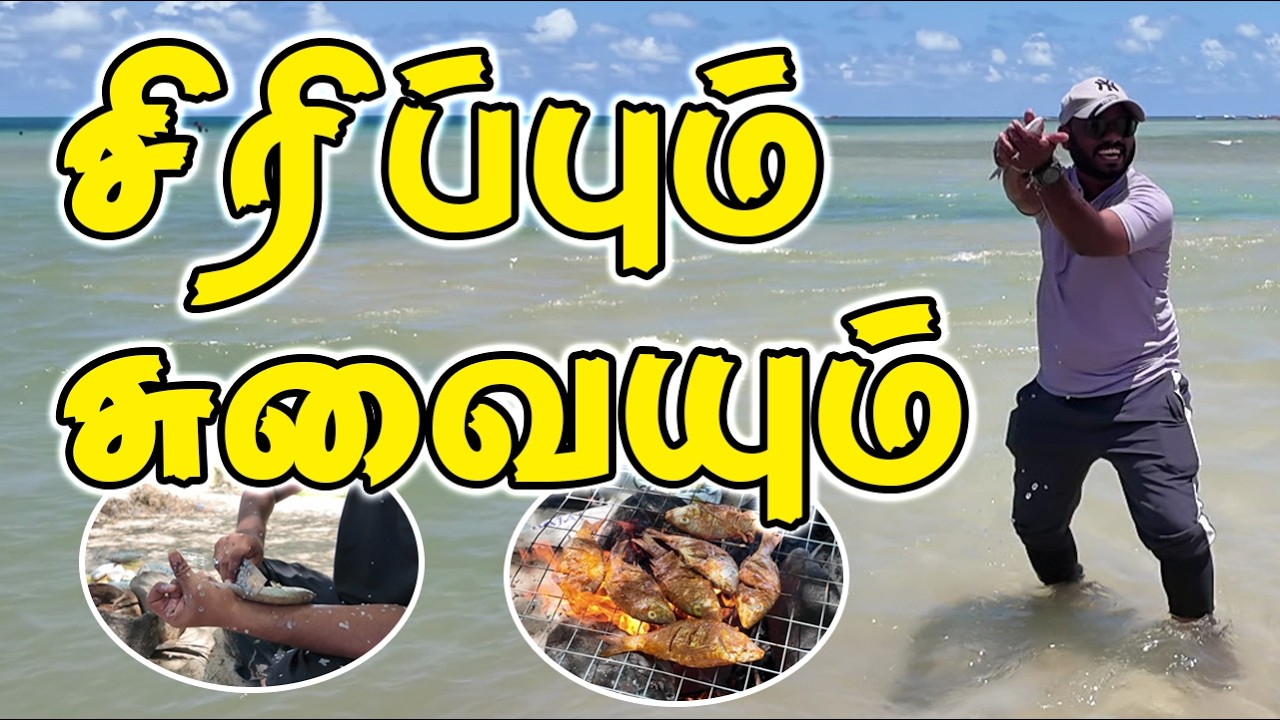 ஒரு பிடி கடலில்  மீன்  BBQ  ...THULIR 360