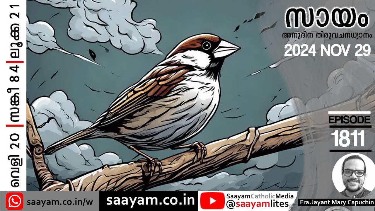 𝗧𝗛𝗘 𝗦𝗣𝗔𝗥𝗥𝗢𝗪'𝗦 𝗦𝗢𝗟𝗔𝗖𝗘 | സിമ്പിളായിട്ട്... | Ep.𝟏𝟖𝟏𝟏 |