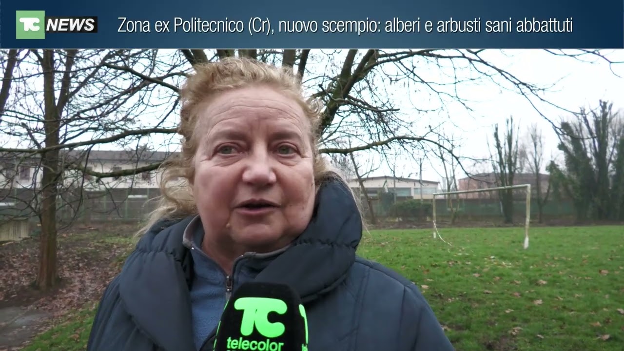 Zona ex Politecnico (Cr), nuovo scempio: alberi e arbusti sani abbattuti