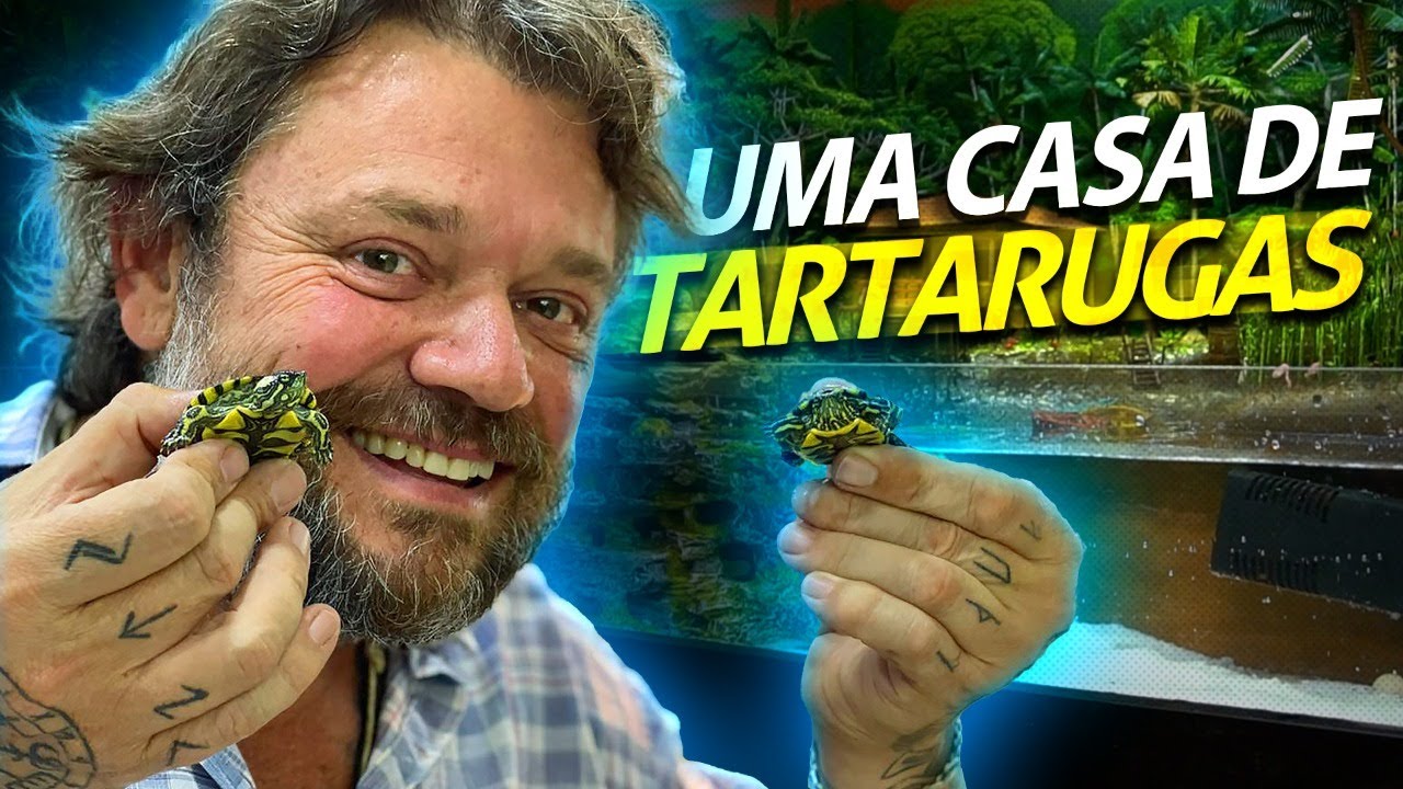 TIGRES D'ÁGUA, OS NOVOS INTEGRANTES DA CASA DOS BICHOS!