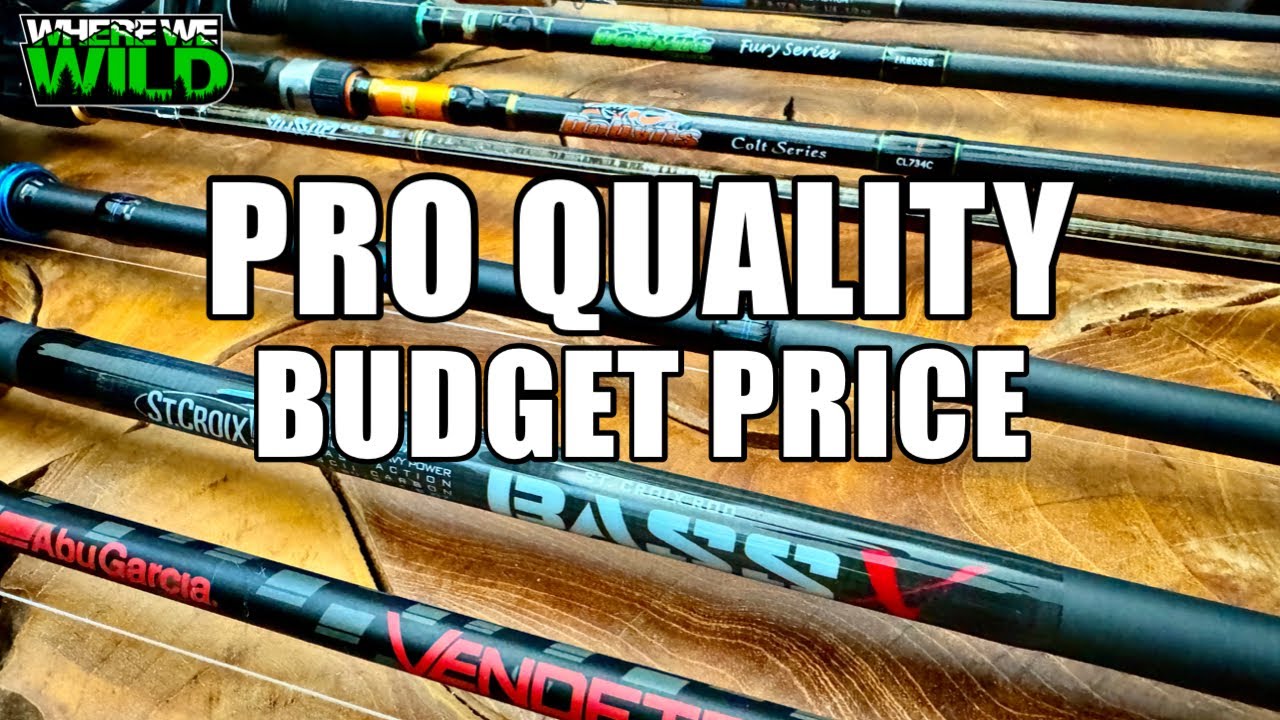 THE BEST BUDGET FISHING RODS - Complete Guide for Beginners to Pros