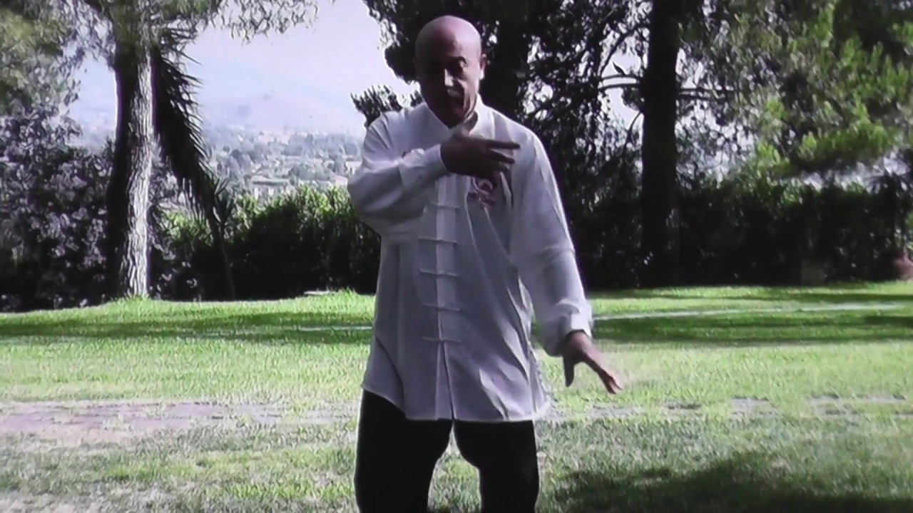 I benefici del Tai Chi Chuan (M° Flavio Daniele)