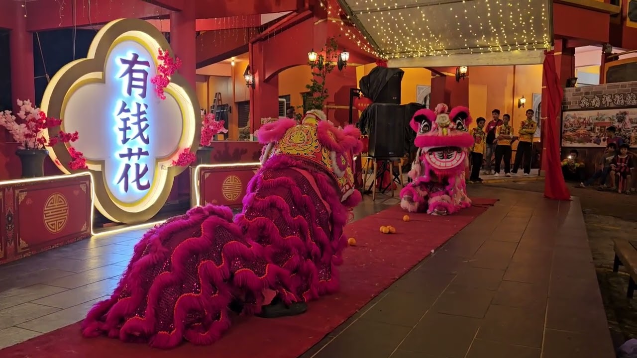 Pink Lion dance duo ground performance