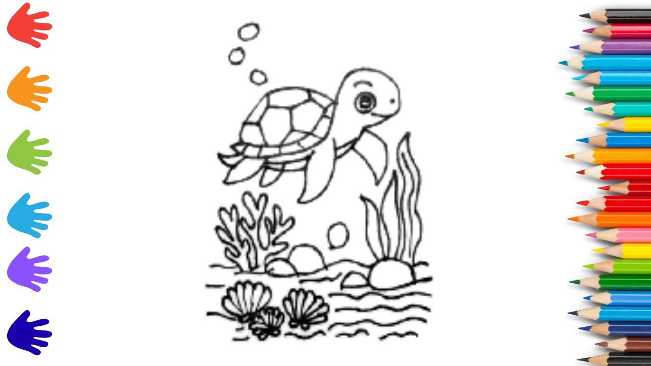 How To Draw cute  sea turtle Drawing, Painting & Coloring For Kids and Toddlers_ Child Art 🐋🌈🎨
