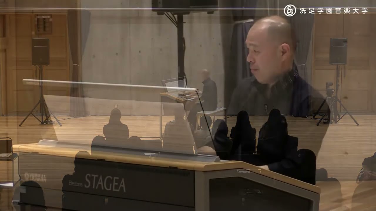 Órgão Stagea ELS-01C. Feche os olhos e assista um orquestra!