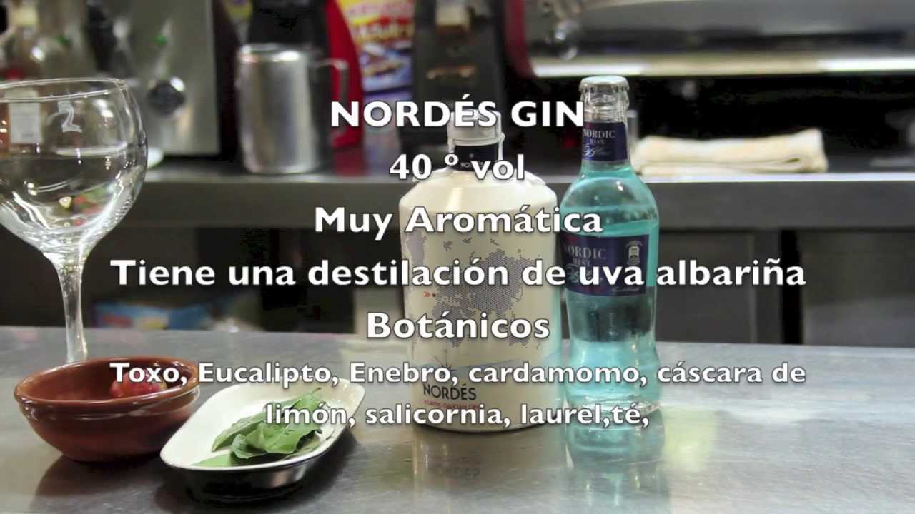 Como preparar un gin tonic de Nordés