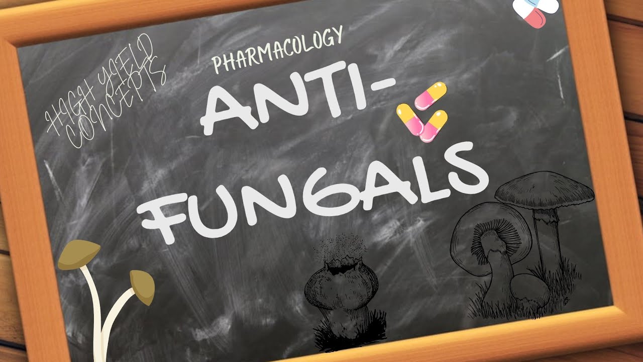 Pharmacology; Anti-Fungals - high yield concepts