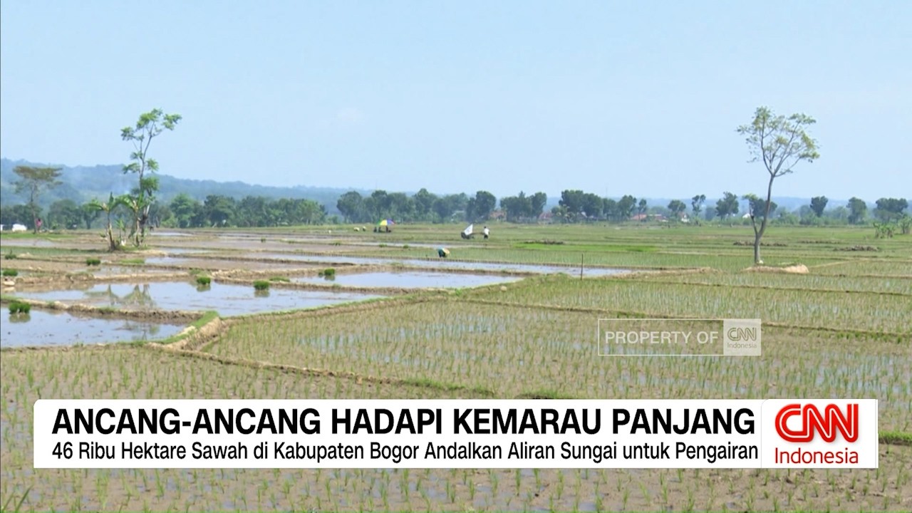 Ancang-Ancang Hadapi Kemarau Panjang di Indonesia
