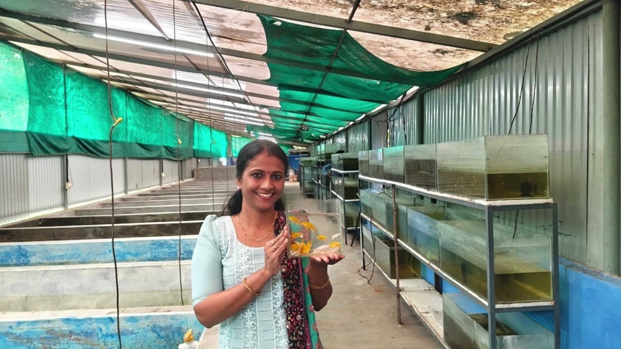 Kerala housewife turns ornamental fish entrepreneur, earns Rs 50,000 monthly profit