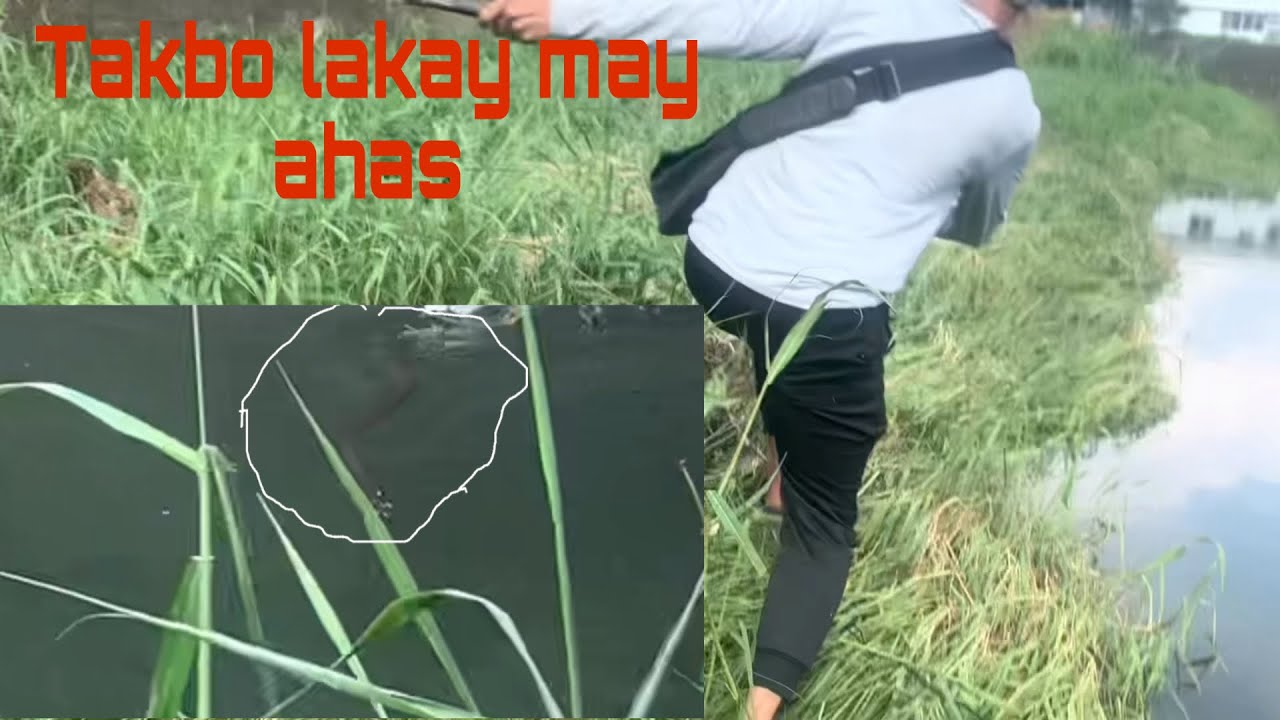 Catch and cook: Hinabol kame ng ahas