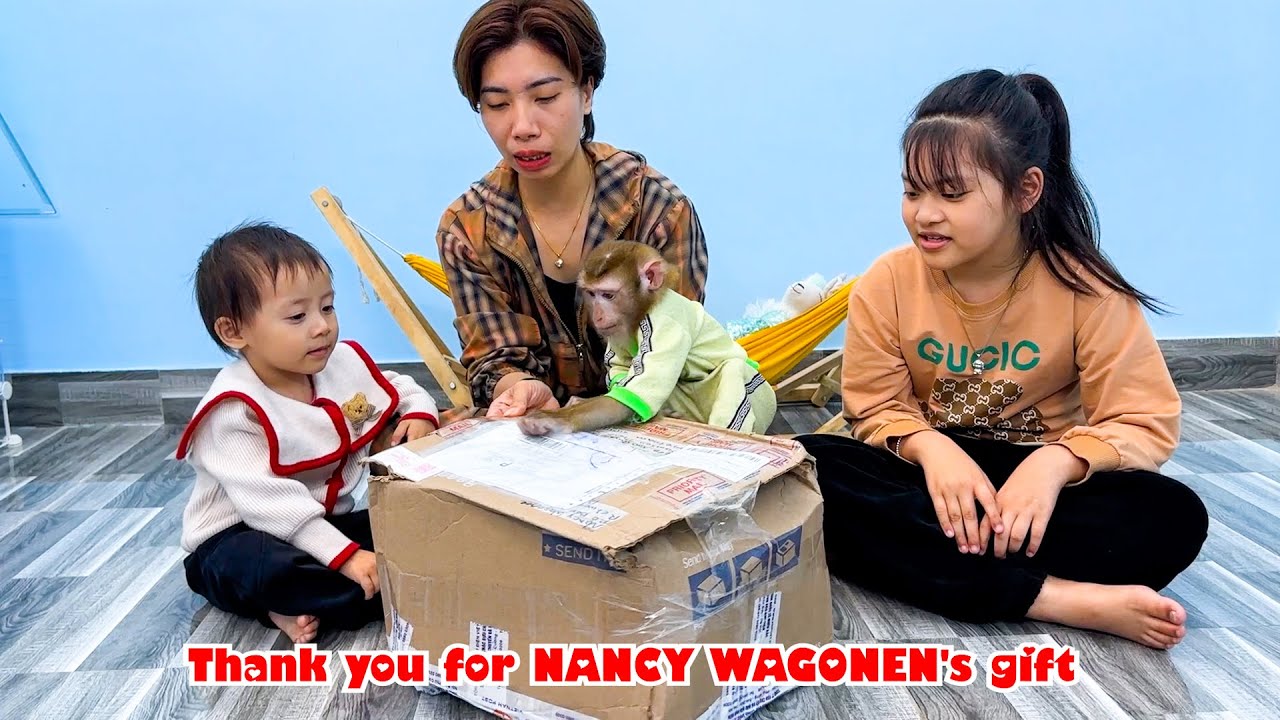 Monkey Kaka's family thanks the gift given by fans in America