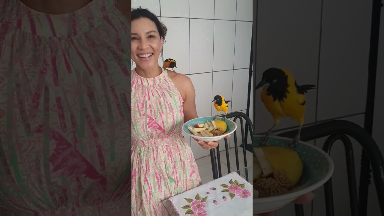 Alimentando os pássaros 🥰🤩😍