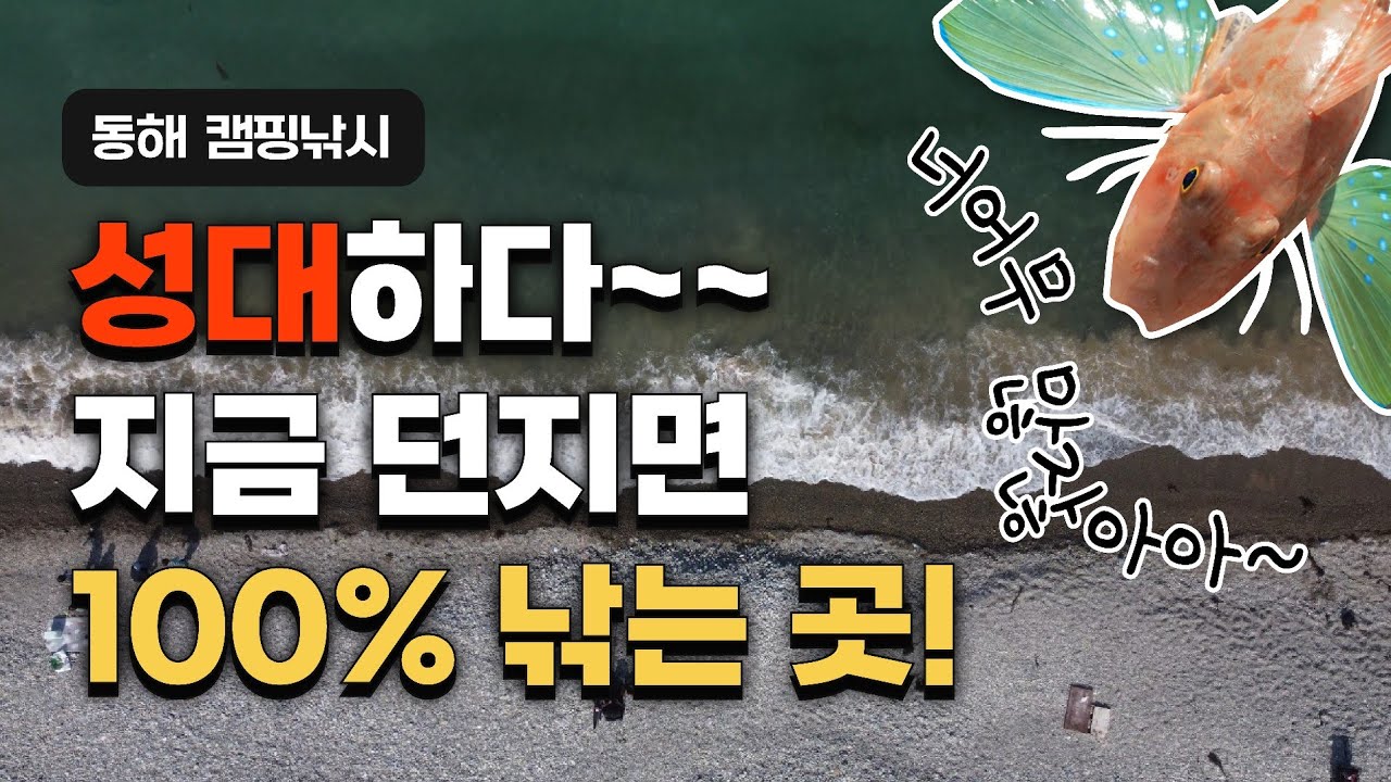 ⛱️ 포항 원투낚시 / 성대 밭 / 캠핑낚시 / 화장실👌 / 차박 / Camping & Fishing