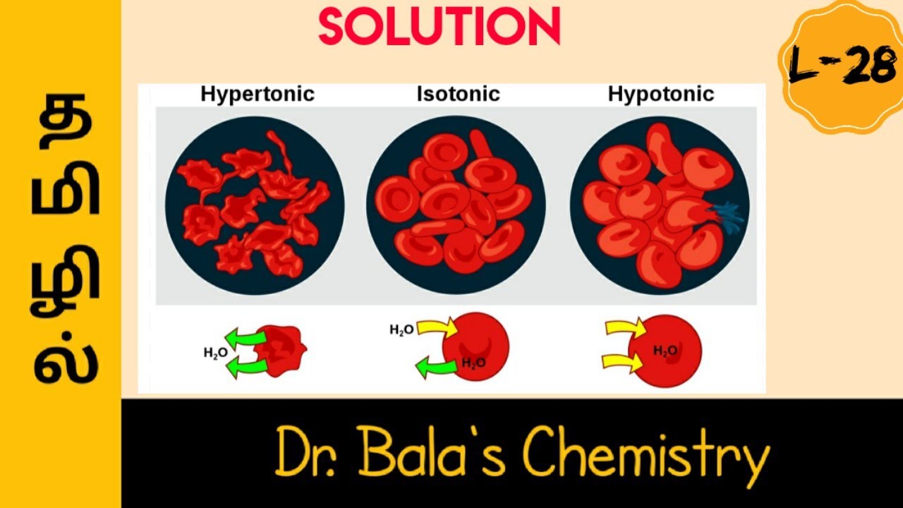 Hypertonic, Hypotonic and Isotonic Solution in Tamil || NEET || JEE || Class 12 Lecture series
