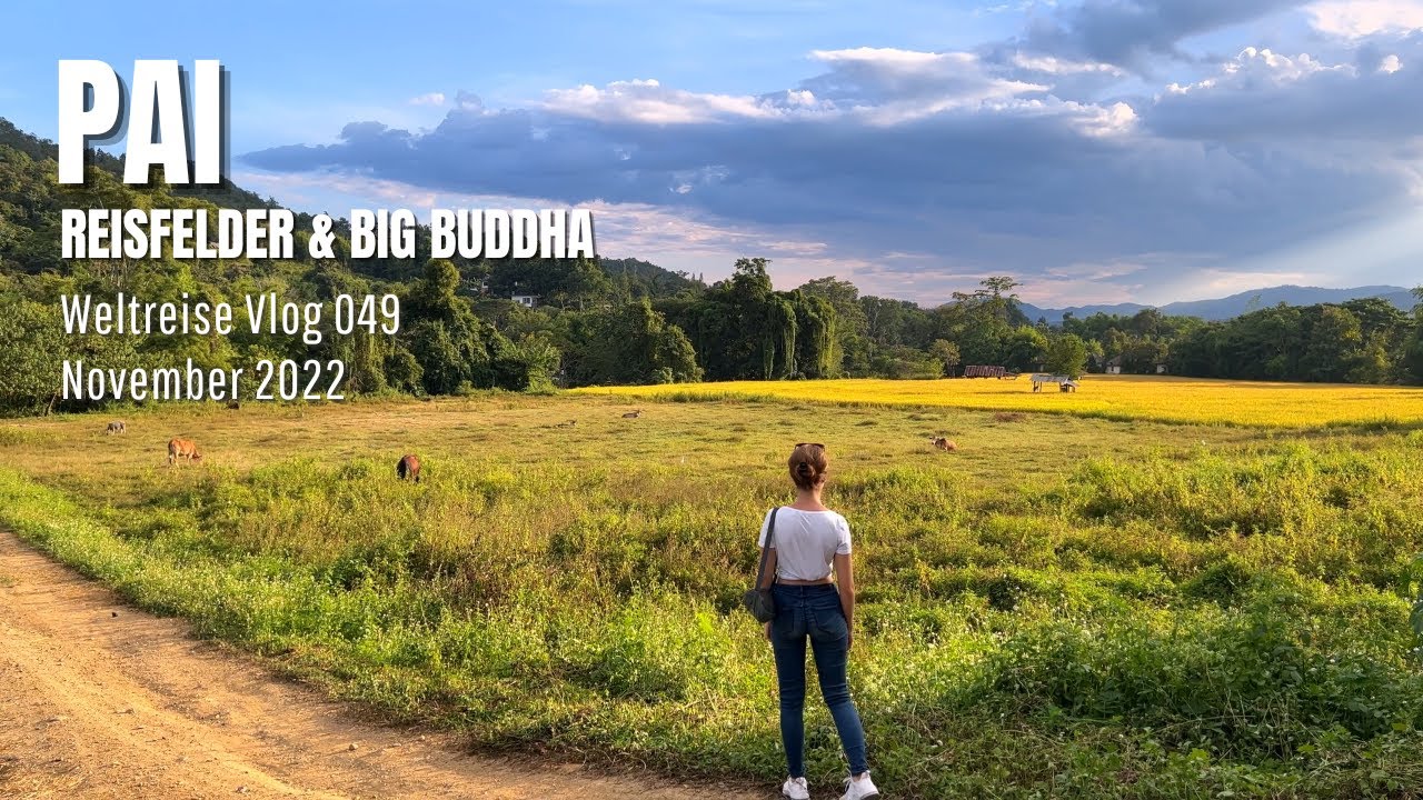 Pai - Reisfelder & Big Buddha | Thailand • Weltreise Vlog 049