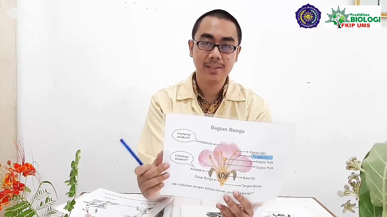 Praktikum Morfologi Tumbuhan, Latihan IV dan V Bunga Tunggal (Jilid 1) dan Rumus, Diagram (Bag.1)