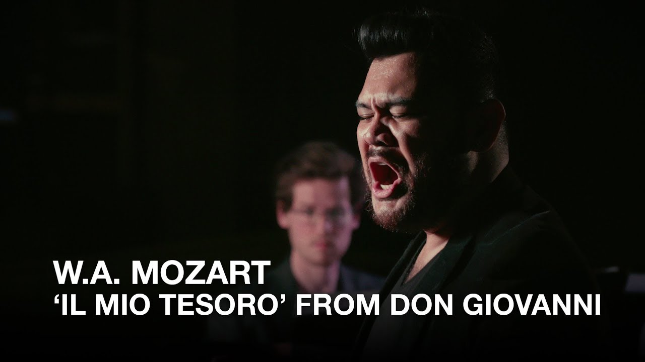 W. A. Mozart: 'Il mio tesoro' from Don Giovanni, sung by Charles Sy