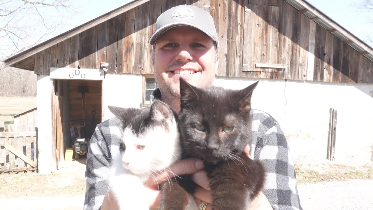 First Day Training Kittens to be Barn Cats