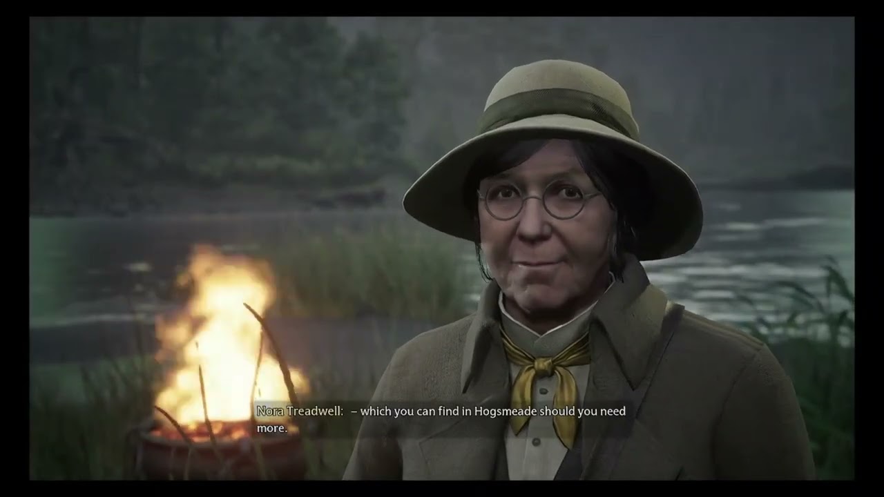 Trail for the missing pages #hogwartslegacy #gaming