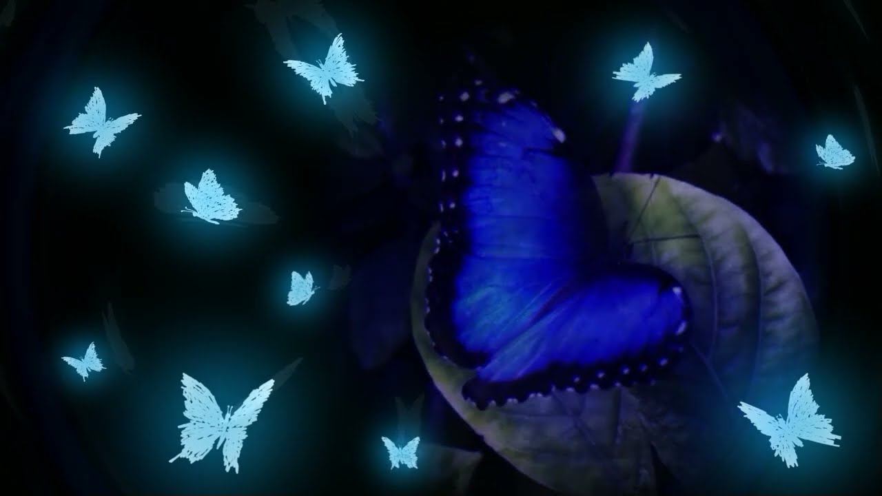 Mawn - Metamorphosis (Breakcore)