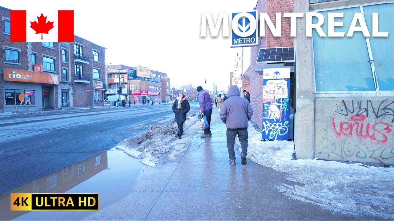 Montreal, Canada Walking Tour | 4K 60fps | Little Italy and Plaza St-Hubert | February 2026