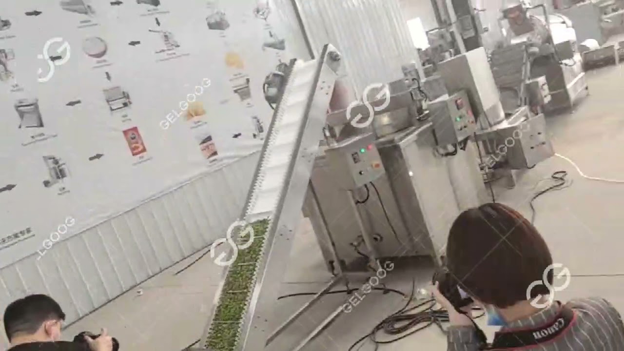 Continuous Production Line ,Deep Fryer Machine ,Frying Green Beans Machine