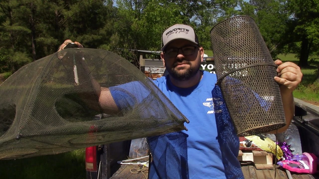 Which Bait Trap Will Catch Better