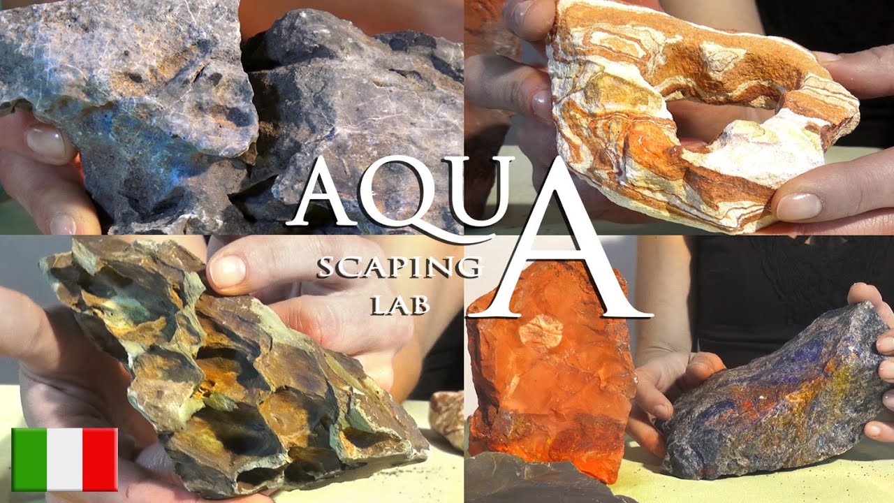 Aquascaping Lab - Rocce da Acquario: Dragon Stone,Seiryu Stone, Ardesia, Arcobaleno, Pagoda, Quarzo