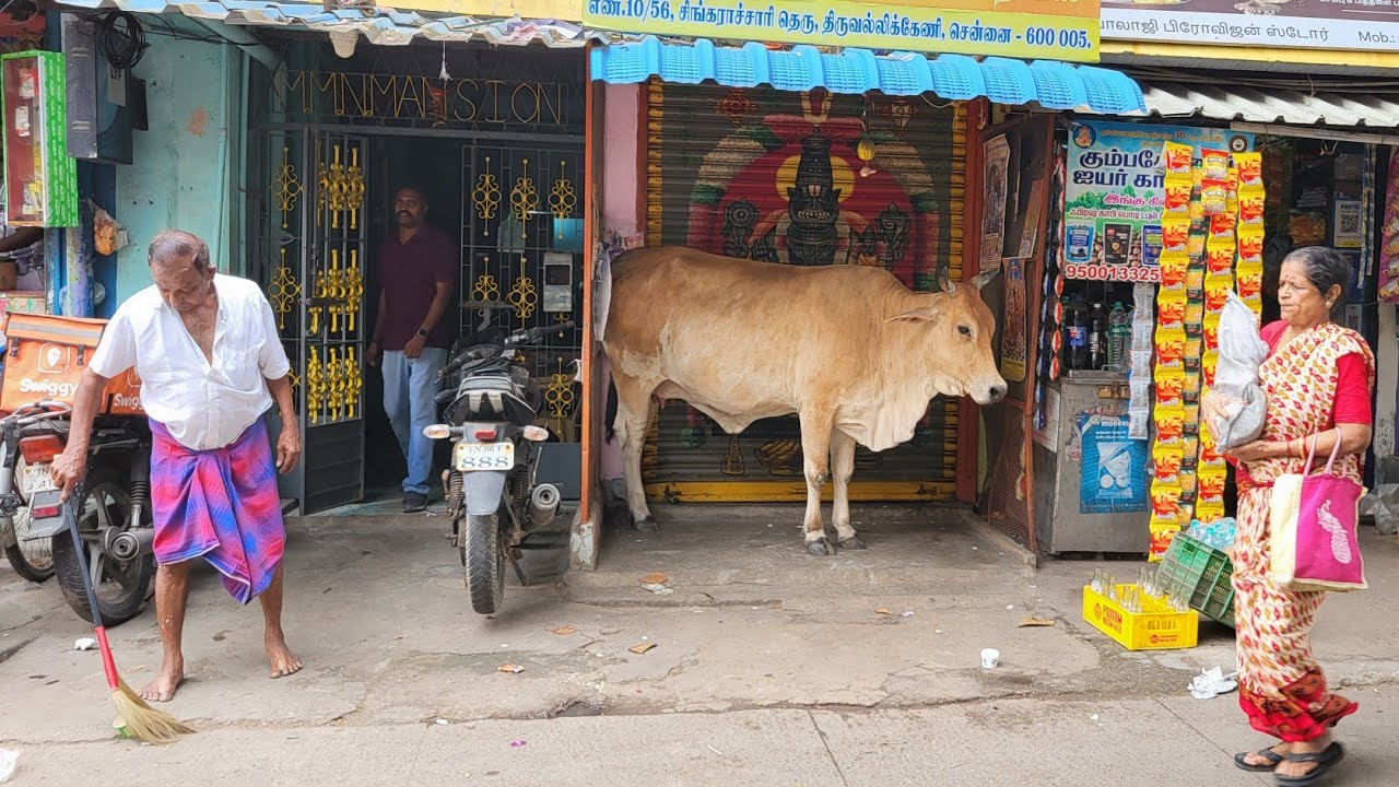 Indiai átszállásból intenzív élmény 🇮🇳 Chennai ahogy mi láttuk 
