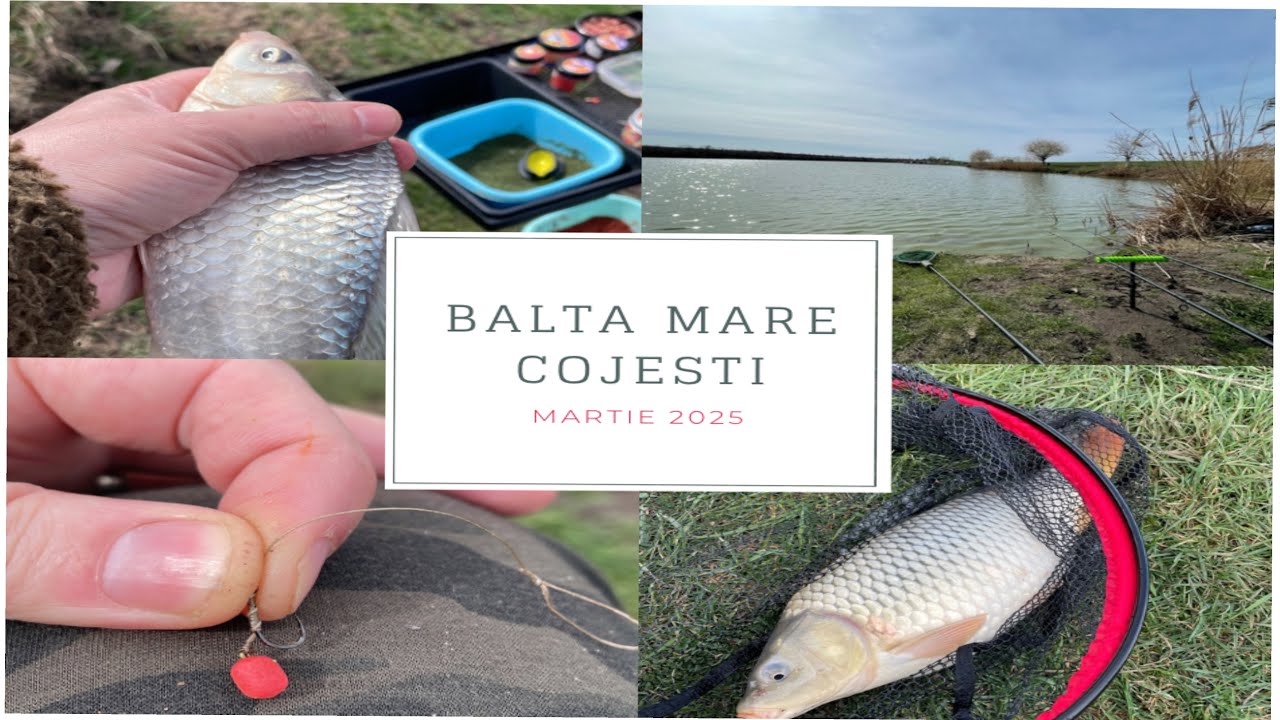 Pescuit cu method feeder pe Balta Mare Cojesti_martie 2025 !