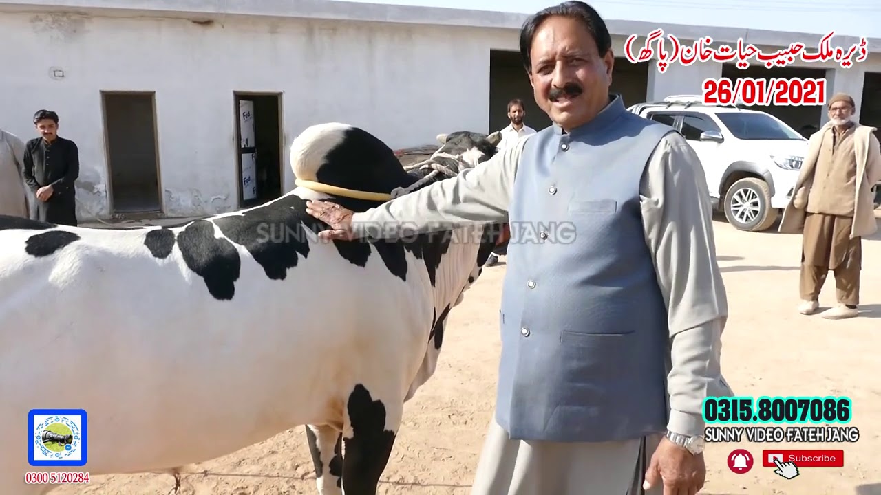 Dera Malik Habib Hyatt Khan Of PAGH (Part01) Sunny VIdeo Fateh Jang  0315 8007086