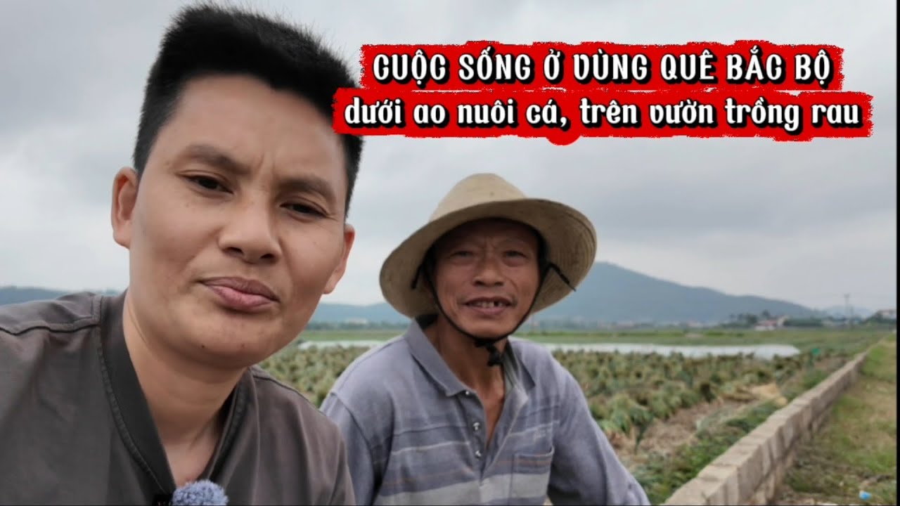 DƯỚI AO THẢ CÁ, TRÊN BỜ TRỒNG RAU, CUỘC SỐNG KHÁ AN NHÀN
