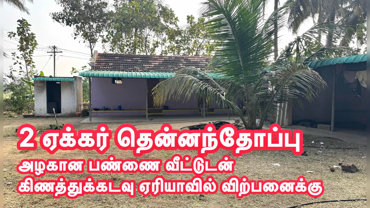2 ஏக்கர் தென்னந்தோப்பு அழகான பண்ணை வீட்டுடன் விற்பனைக்கு 