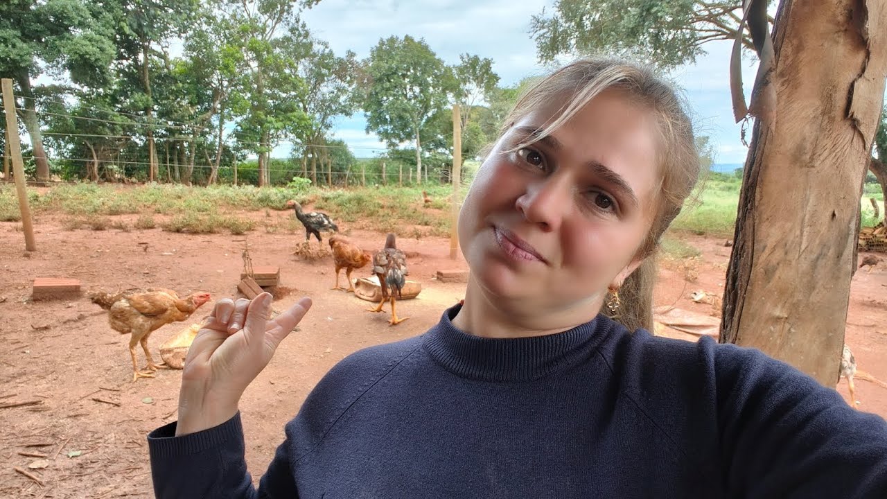 Lucro desse mês com frango caipira e desafios 