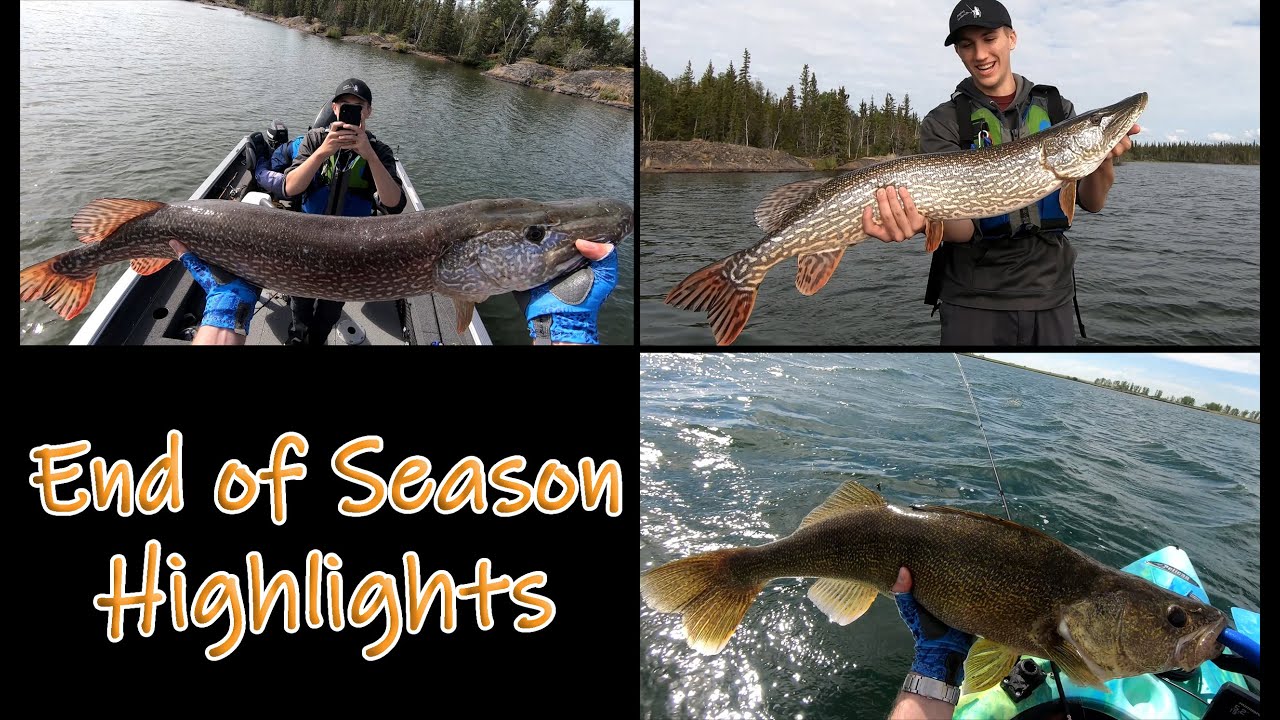 New species and some great PBs, our highlights from 2022!
