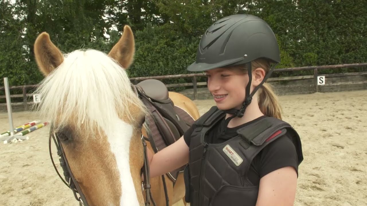 Paardensport Vlaanderen