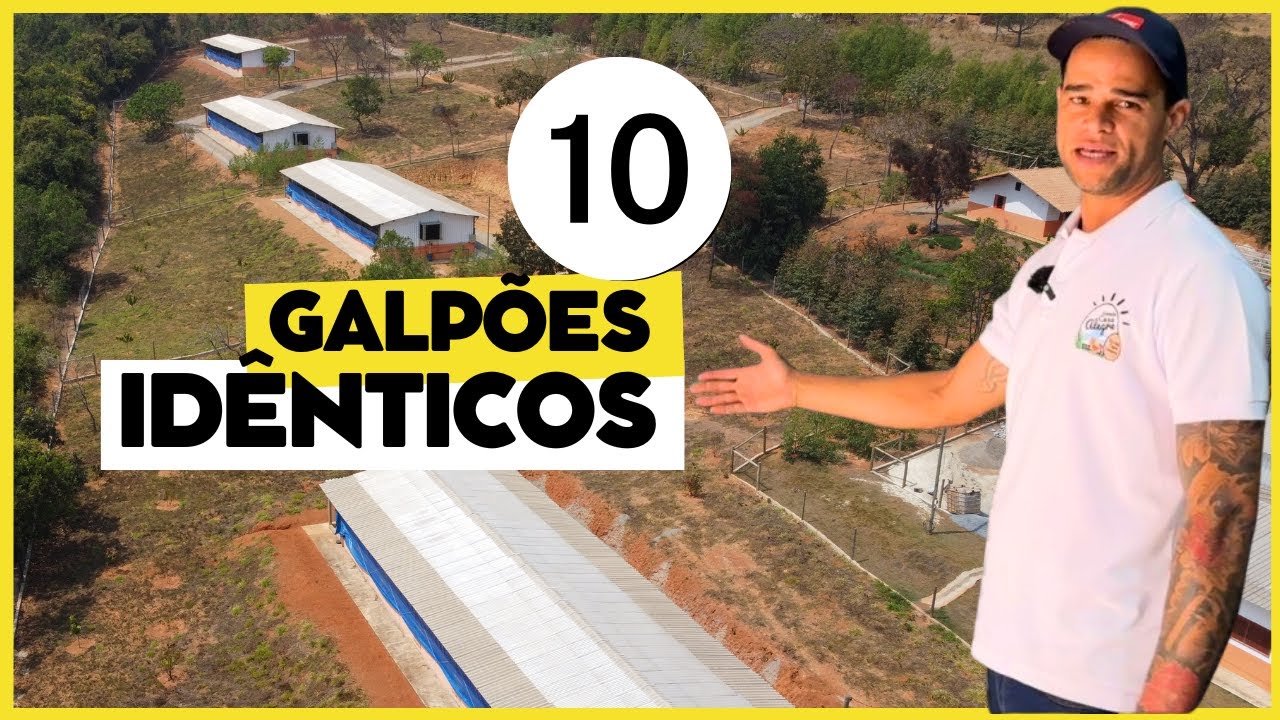 10 GALPÕES IDÊNTICOS: GRANDE PROJETO de PRODUÇÃO de OVOS CAIPIRAS