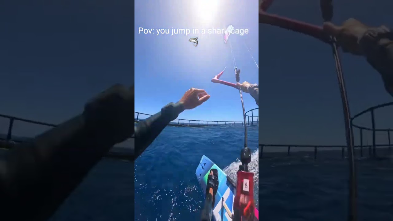 Jumping in a Shark Cage! 💀🤯