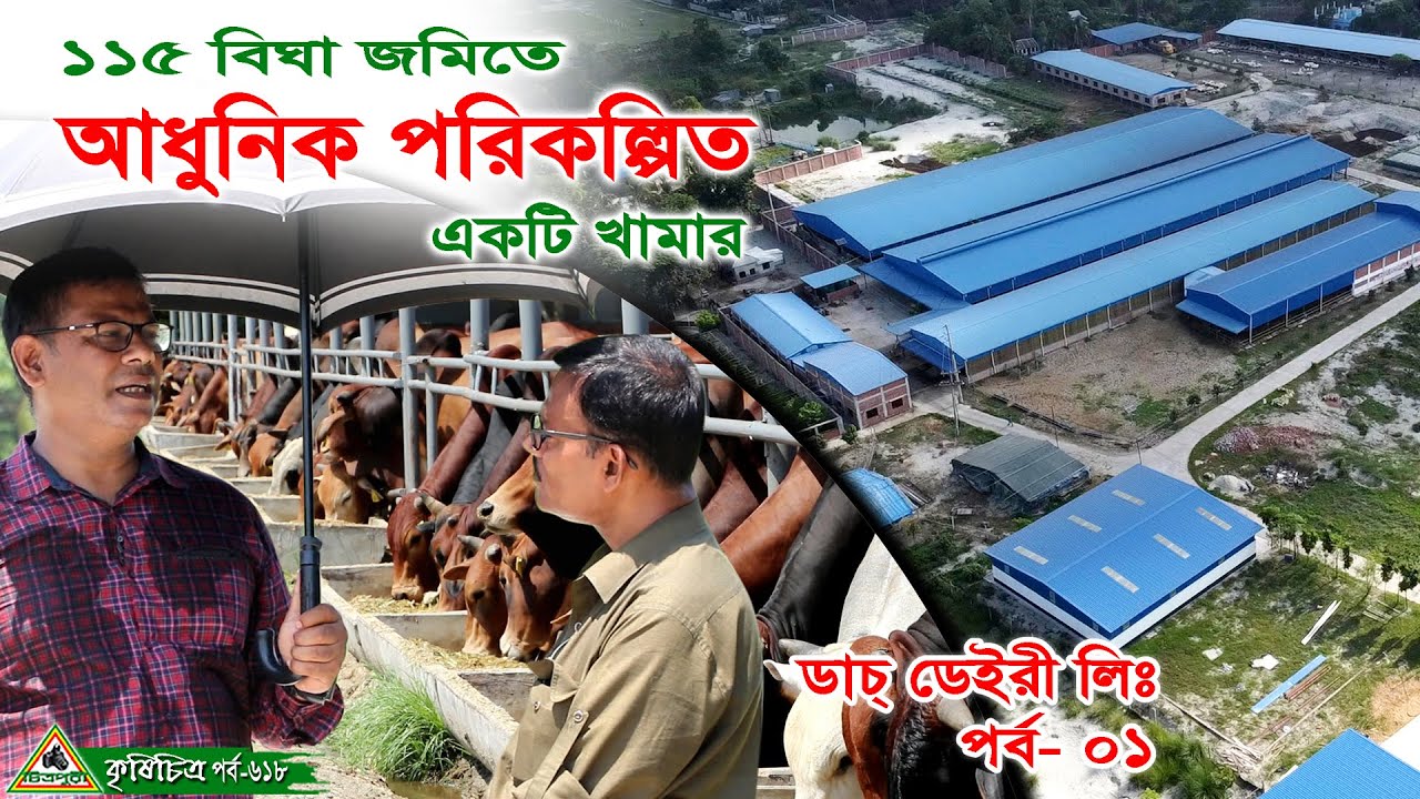 618-আধুনিক পরিকল্পিত খামার ডাচ্ ডেইরী লিঃ, ফ্রিজিয়ান ও শাহিওয়াল ষাড়,ডরপার ভেড়া ও বোয়ার ছাগলের খামার।