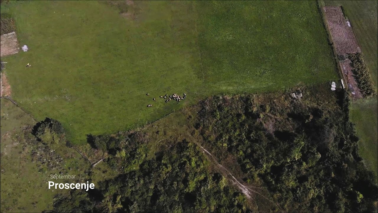 Prošćenje-Septembar 2019
