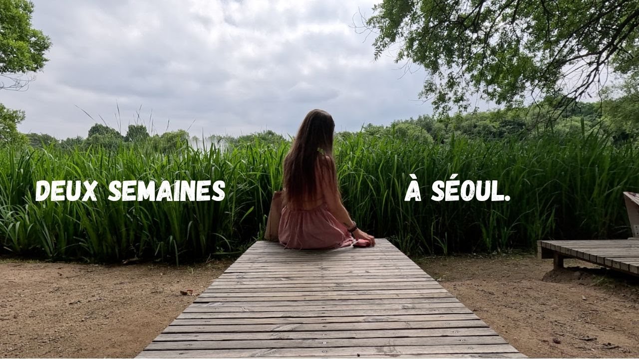 Voyons ce que Séoul a dans le ventre.