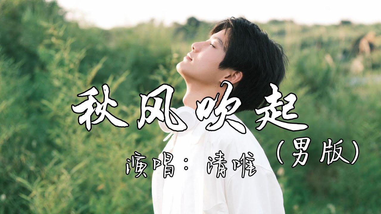清唯 - 秋风吹起（男版）『总是莫名的难过，总是忽然的失落，是不是我一人过得太久了，幸运幸福忘了我。』『动态歌词MV』