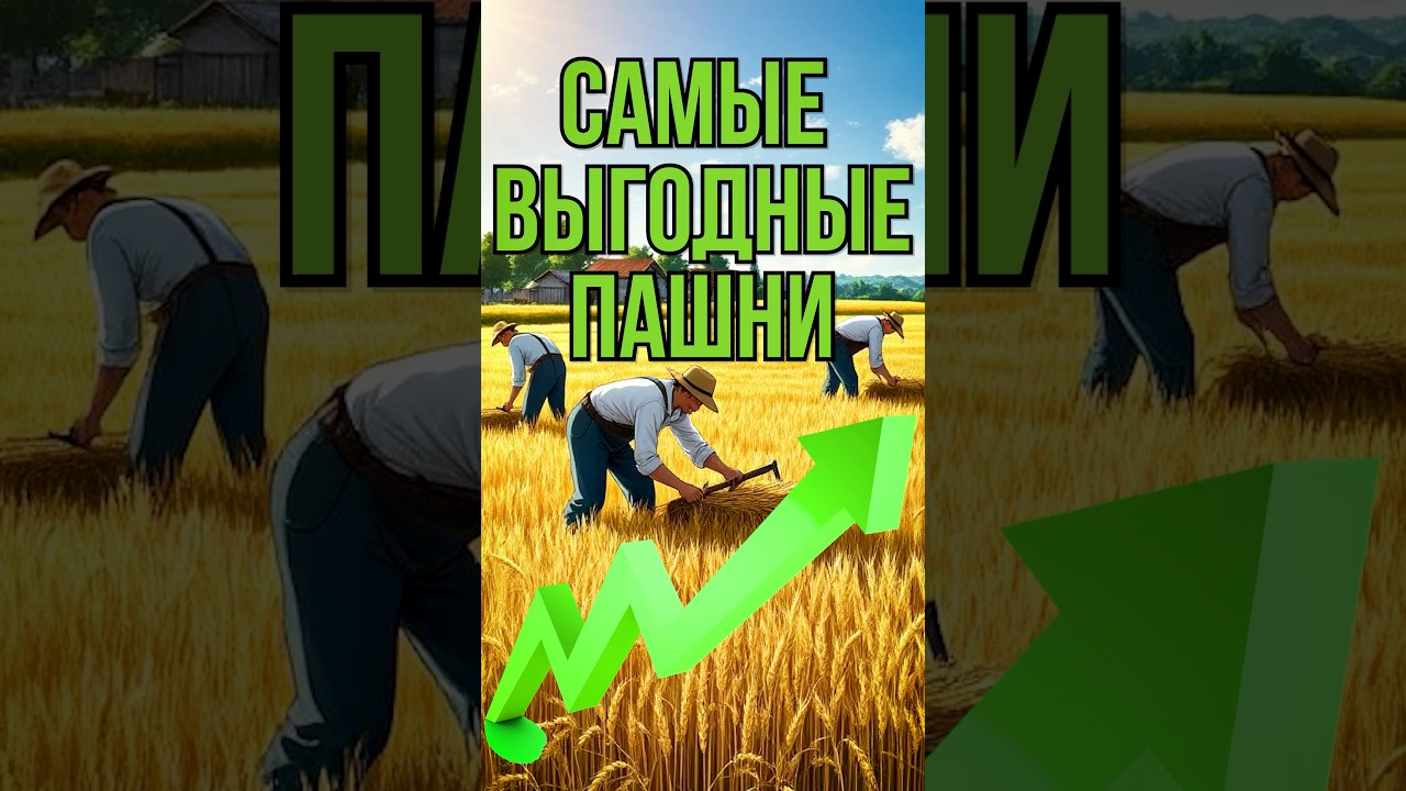 Самые выгодные пашни в age of empiers 4