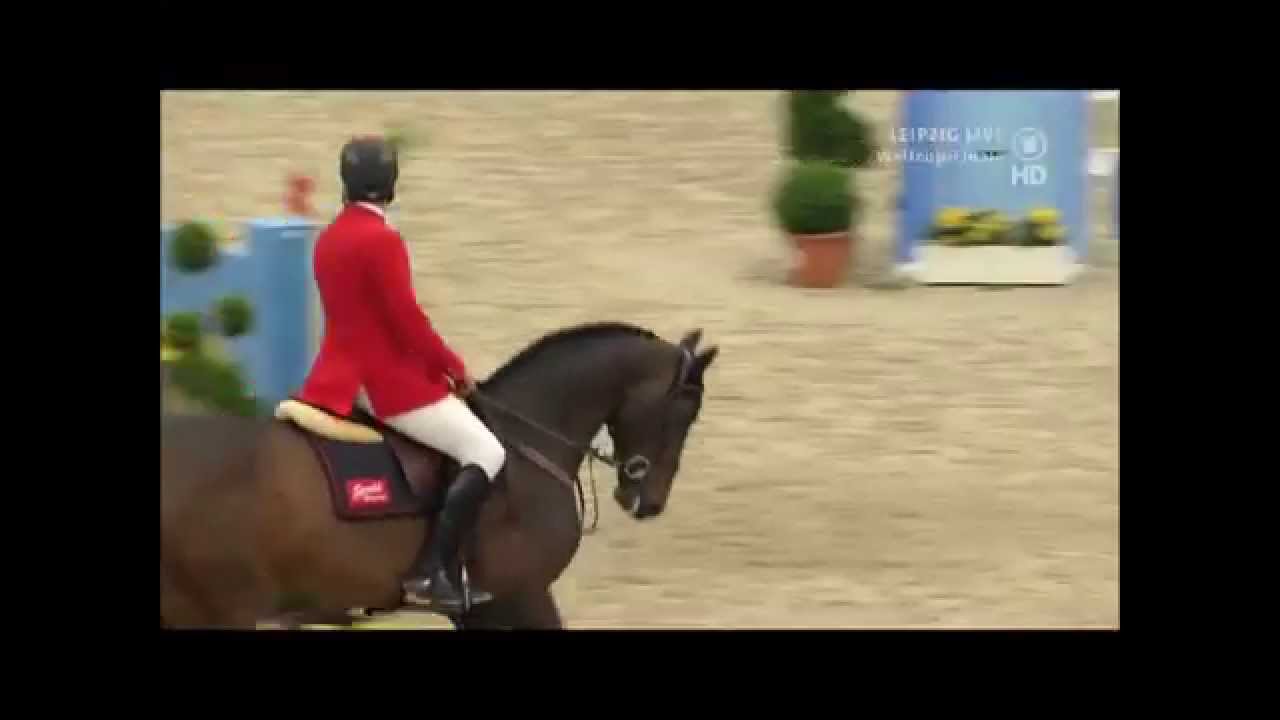 TALOUBET Z: Zangersheide stallion Christian Ahlmann, www.equine-evolution.com
