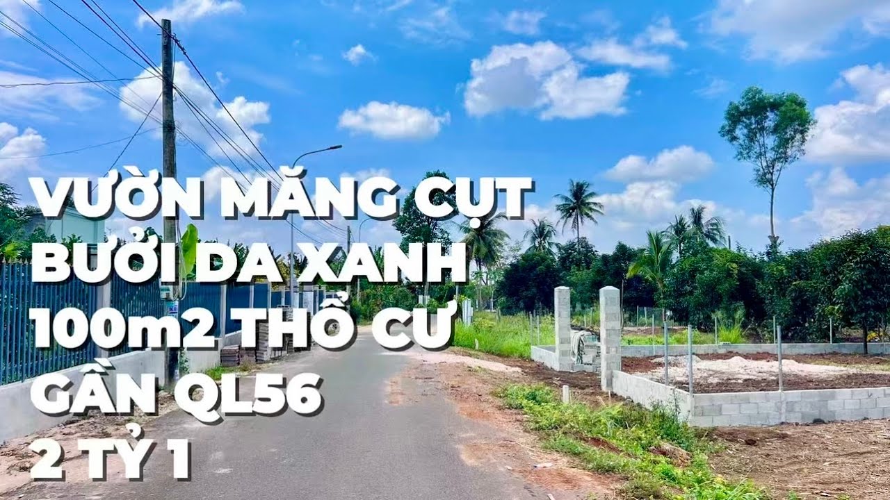 Chính chủ cần bán gấp , vườn măng cụt , bưởi , đường nhựa , có thổ cư tại BR-VT