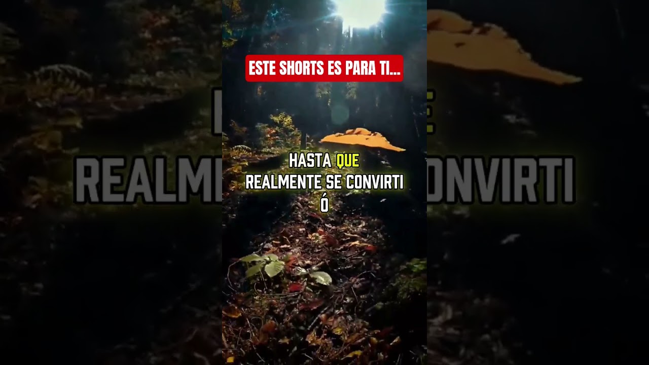 #FeEnDios