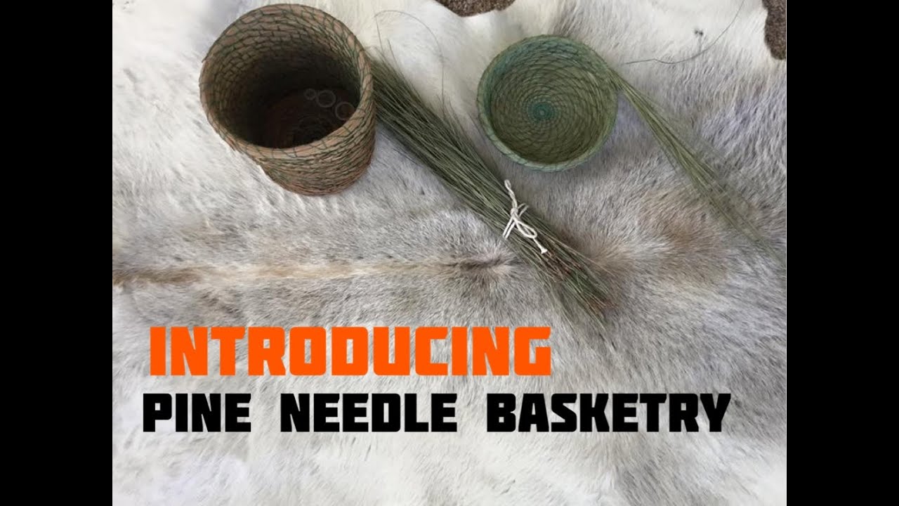 Pine Needle Basketry Introduction