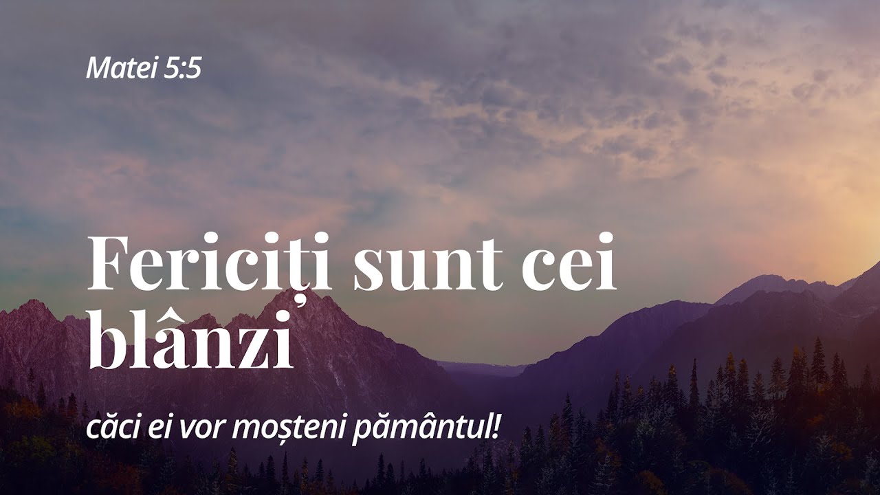 Fericirile / Fericiți sunt cei blânzi / Rei Abrudan