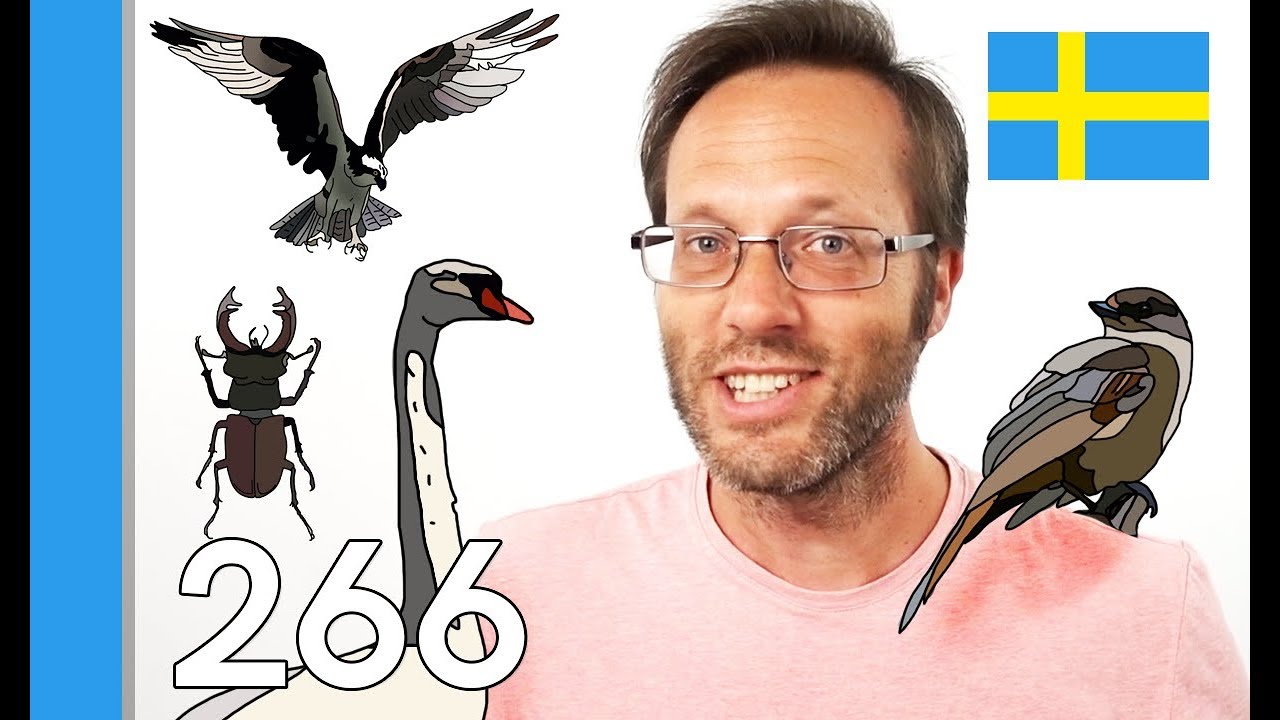 Learn Sweden's State Animals - 10 Swedish Words #266